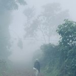 PAISAJE-DORZE